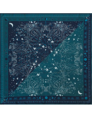 SILK SCARF 90 - ZENITH NAVY s'inspire de l'anatomie humaine